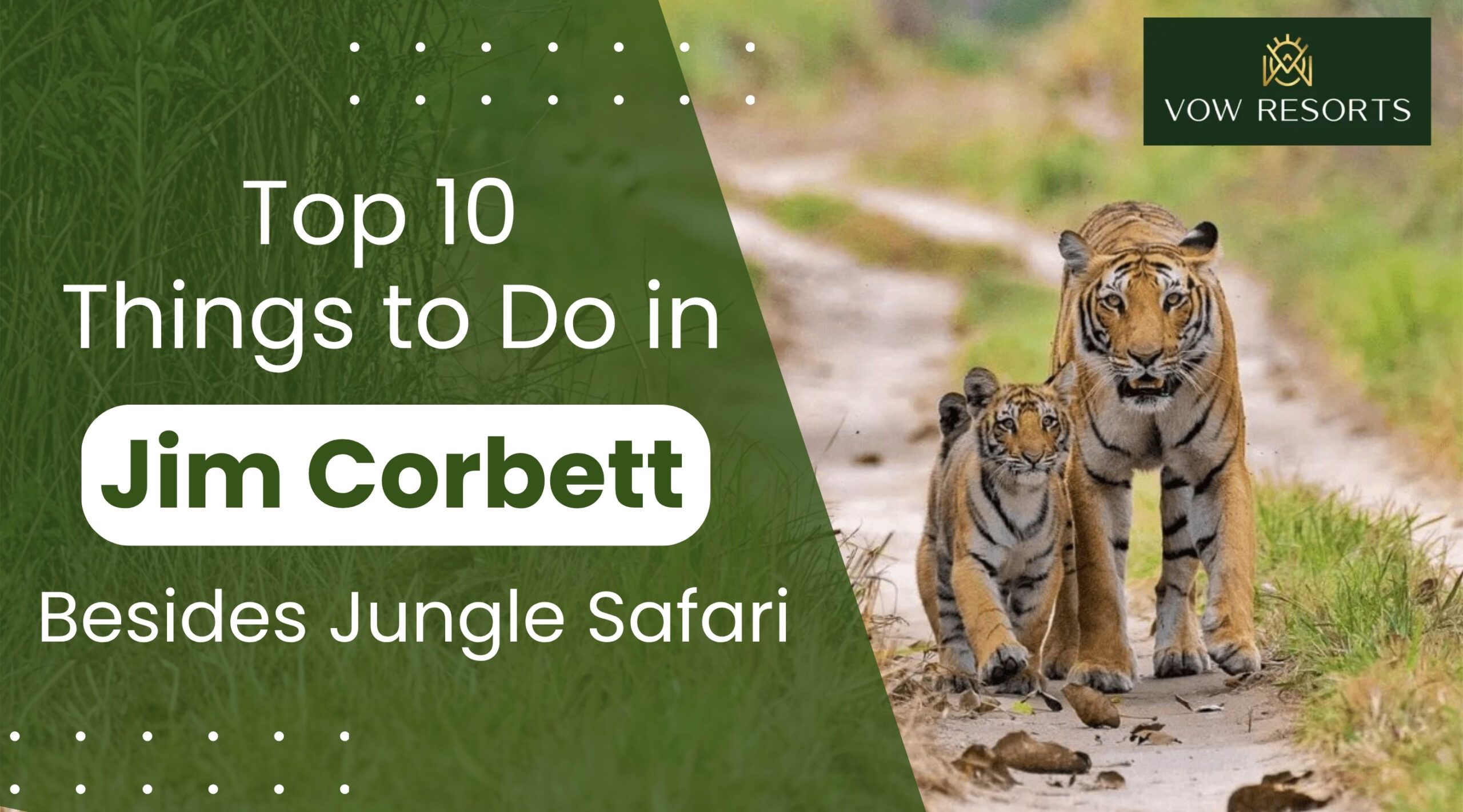 10 Things to Do in Jim Corbett Besides Jungle Safari