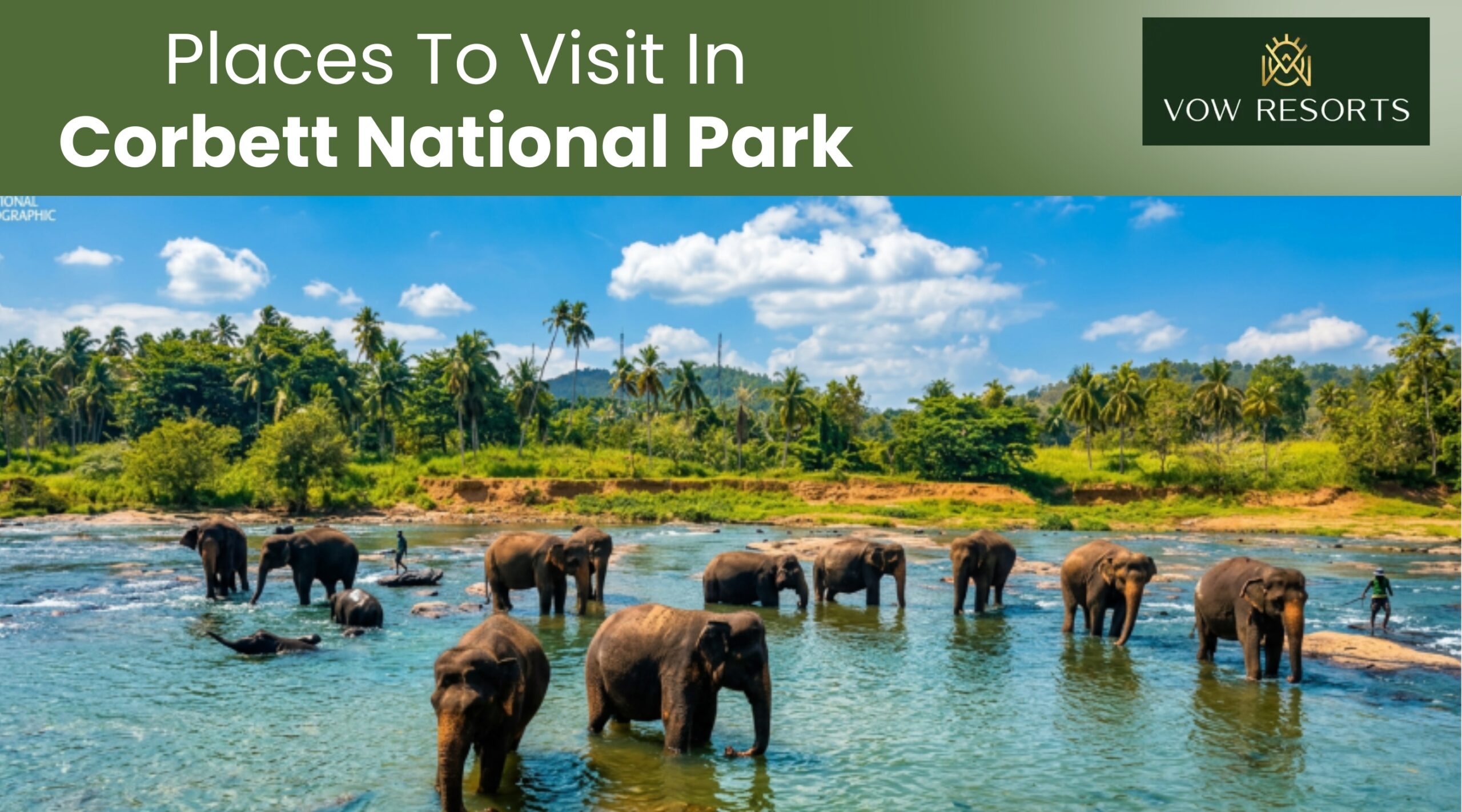 Places To Visit In Corbett National Park